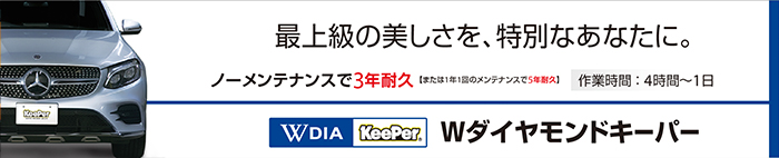 Wダイヤモンドキーパー